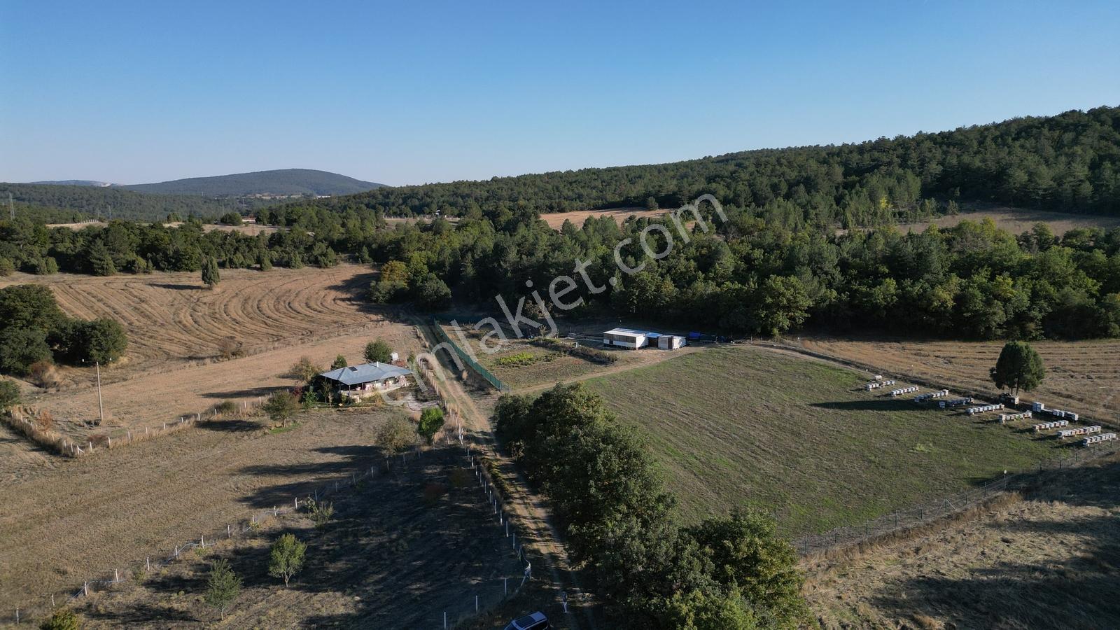 Bozüyük Kızılcapınarda 2.110 M² Satılık Bahçe & Prefabrik Ev — fotoğraf 11