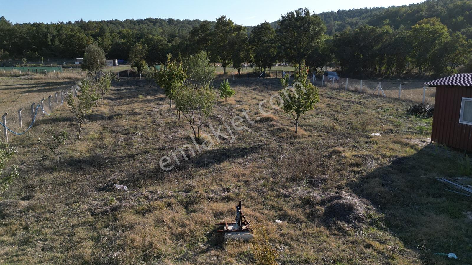 Bozüyük Kızılcapınarda 2.110 M² Satılık Bahçe & Prefabrik Ev — fotoğraf 12