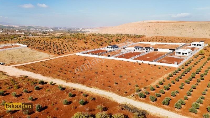 Suboğazı Herşeyi Hazır Uygun Fiyatlı Fırsat Bağevi — fotoğraf 2