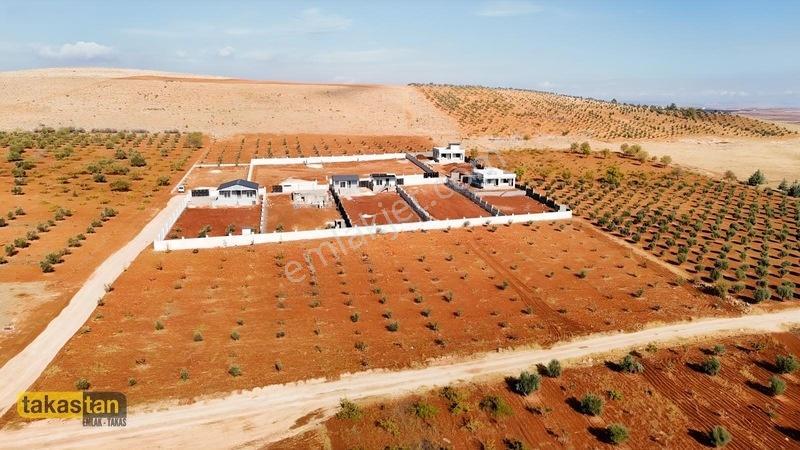 Suboğazı Herşeyi Hazır Uygun Fiyatlı Fırsat Bağevi — fotoğraf 3