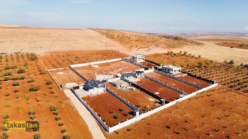Suboğazı Herşeyi Hazır Uygun Fiyatlı Fırsat Bağevi — fotoğraf 4