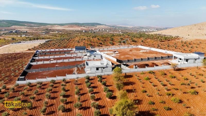 Suboğazı Herşeyi Hazır Uygun Fiyatlı Fırsat Bağevi — fotoğraf 6