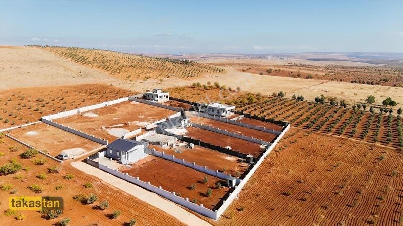 Suboğazı Herşeyi Hazır Uygun Fiyatlı Fırsat Bağevi — fotoğraf 7