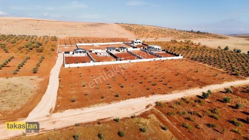 Suboğazı Herşeyi Hazır Uygun Fiyatlı Fırsat Bağevi — fotoğraf 8