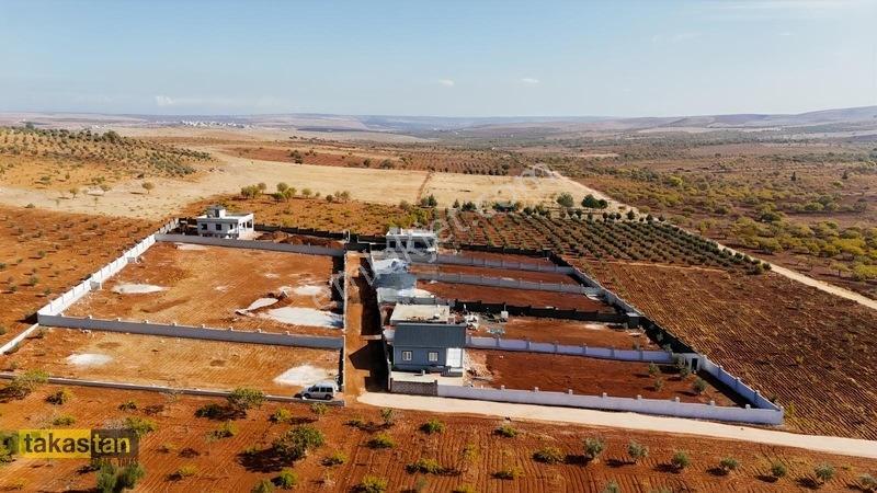 Suboğazı Herşeyi Hazır Uygun Fiyatlı Fırsat Bağevi — fotoğraf 9