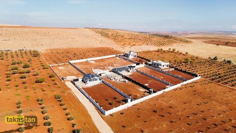 Suboğazı Herşeyi Hazır Uygun Fiyatlı Fırsat Bağevi — fotoğraf 10