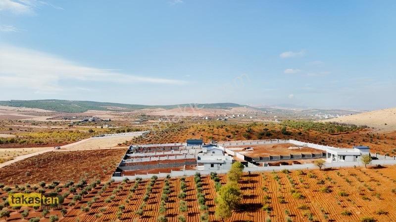 Suboğazı Herşeyi Hazır Uygun Fiyatlı Fırsat Bağevi — fotoğraf 11