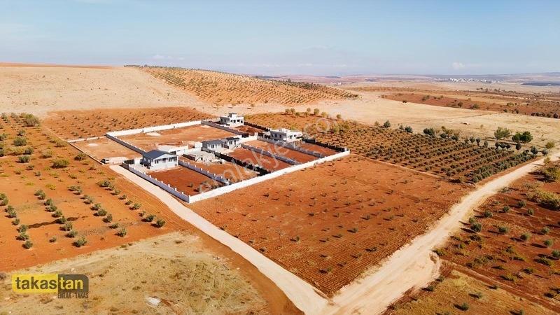 Suboğazı Herşeyi Hazır Uygun Fiyatlı Fırsat Bağevi — fotoğraf 12
