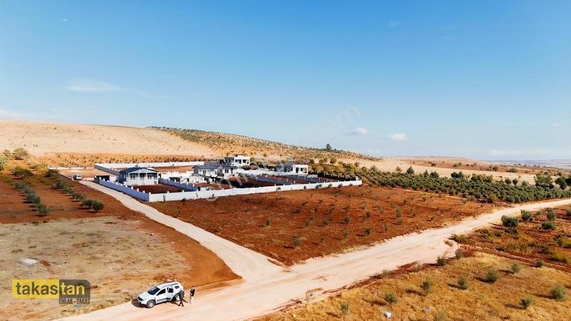 Suboğazı Herşeyi Hazır Uygun Fiyatlı Fırsat Bağevi — fotoğraf 13