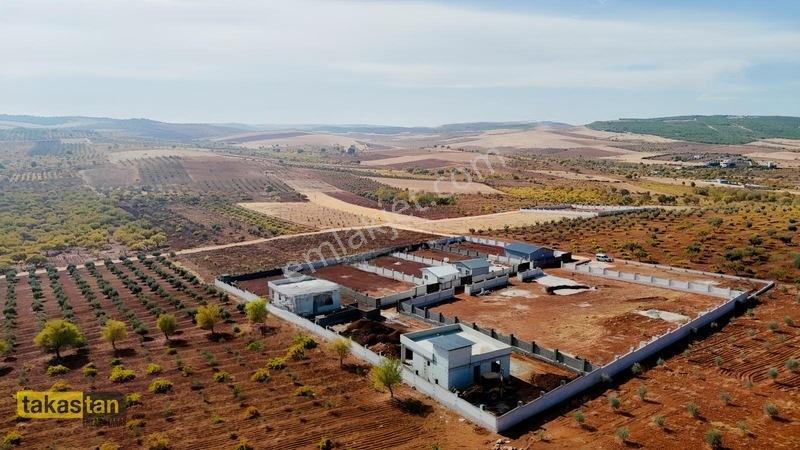 Suboğazı Herşeyi Hazır Uygun Fiyatlı Fırsat Bağevi — fotoğraf 14