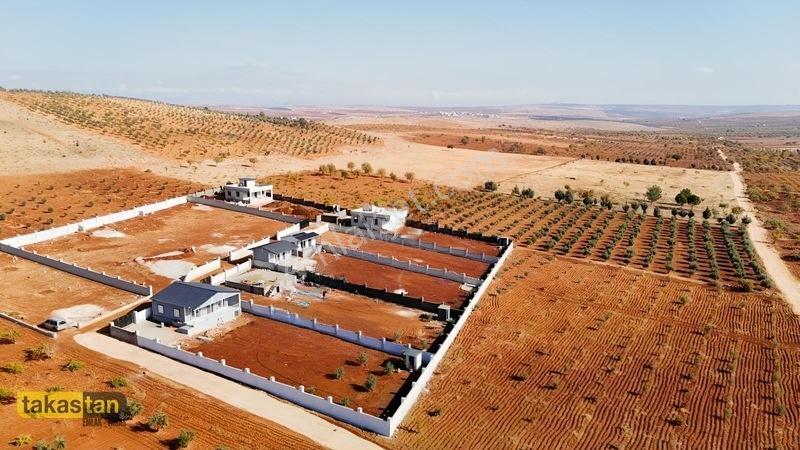 Suboğazı Herşeyi Hazır Uygun Fiyatlı Fırsat Bağevi — fotoğraf 15