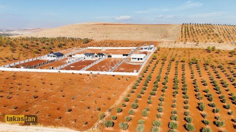Suboğazı Herşeyi Hazır Uygun Fiyatlı Fırsat Bağevi — fotoğraf 16