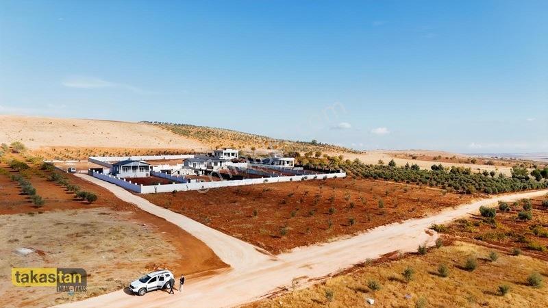 Suboğazı Herşeyi Hazır Uygun Fiyatlı Fırsat Bağevi — fotoğraf 17