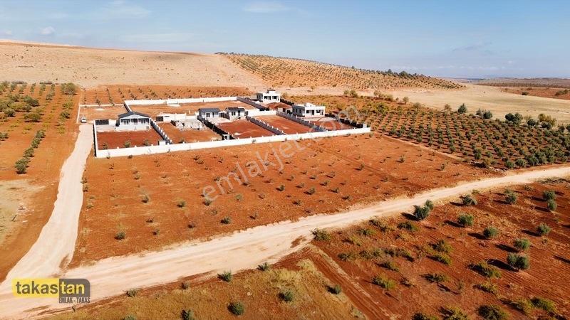 Suboğazı Herşeyi Hazır Uygun Fiyatlı Fırsat Bağevi — fotoğraf 18