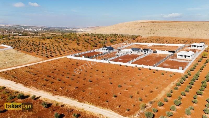 Suboğazı Herşeyi Hazır Uygun Fiyatlı Fırsat Bağevi — fotoğraf 19