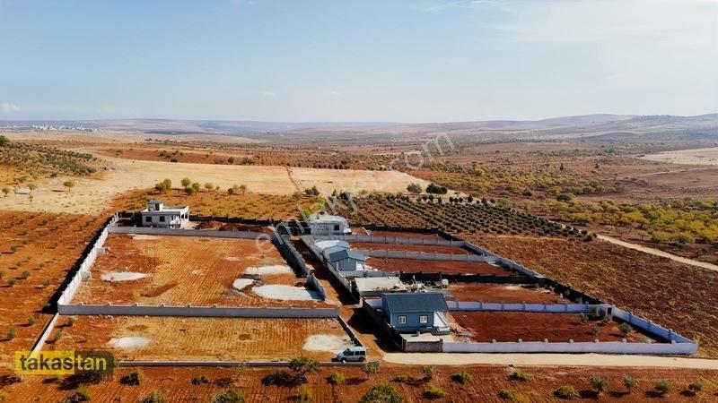 Suboğazı Herşeyi Hazır Uygun Fiyatlı Fırsat Bağevi — fotoğraf 20