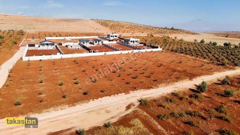 Suboğazı Herşeyi Hazır Uygun Fiyatlı Fırsat Bağevi — fotoğraf 26
