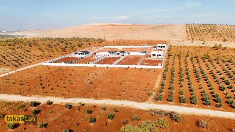 Suboğazı Herşeyi Hazır Uygun Fiyatlı Fırsat Bağevi — fotoğraf 27