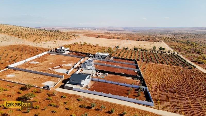 Suboğazı Herşeyi Hazır Uygun Fiyatlı Fırsat Bağevi — fotoğraf 28