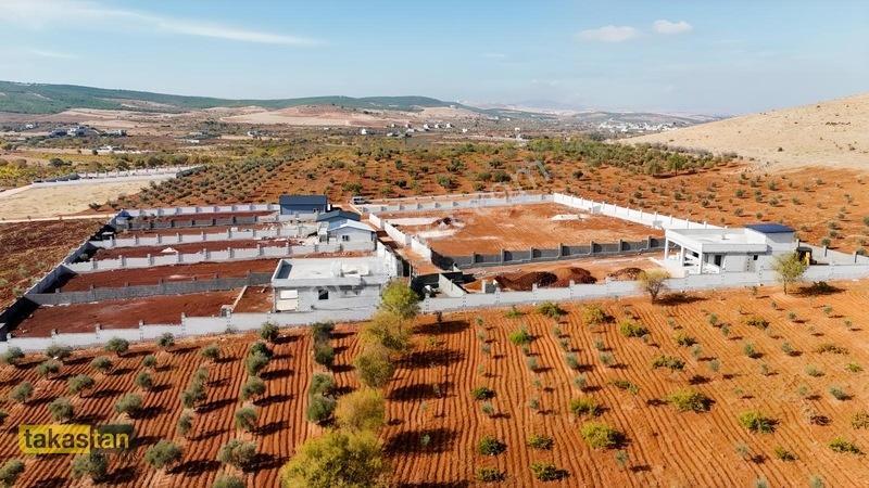 Suboğazı Herşeyi Hazır Uygun Fiyatlı Fırsat Bağevi — fotoğraf 29