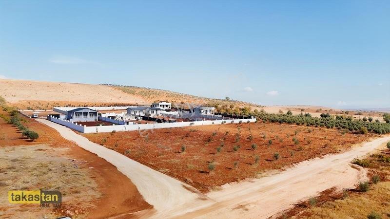 Suboğazı Herşeyi Hazır Uygun Fiyatlı Fırsat Bağevi — fotoğraf 30