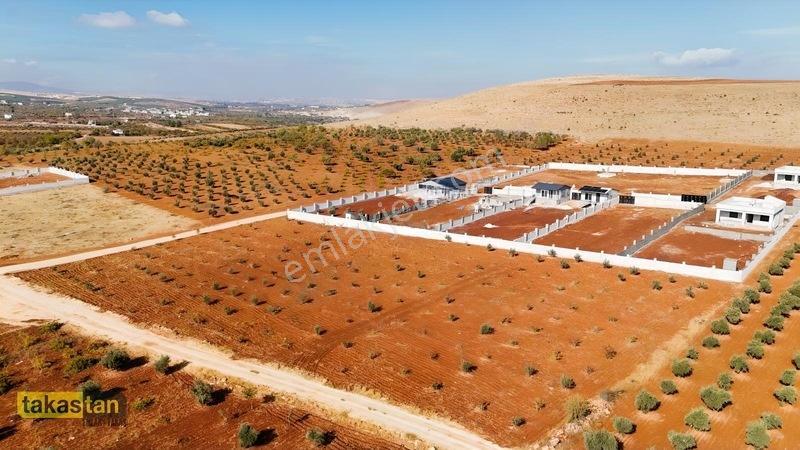 Suboğazı Herşeyi Hazır Uygun Fiyatlı Fırsat Bağevi — fotoğraf 32