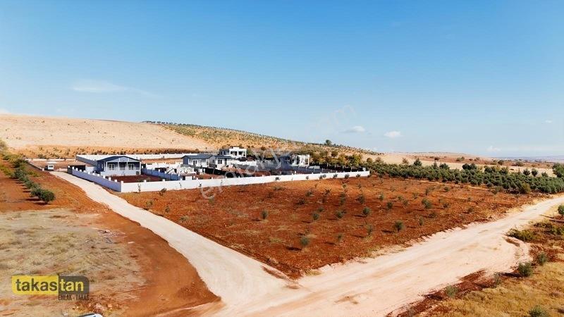 Suboğazı Herşeyi Hazır Uygun Fiyatlı Fırsat Bağevi — fotoğraf 33