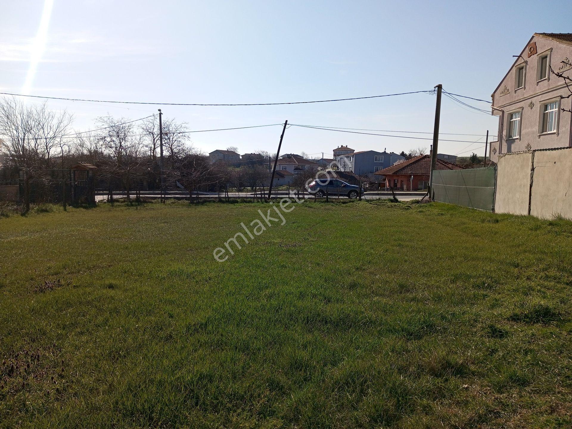 Ege Gayrimenkul'den Beyciler'de 1004 M2 Arsa — fotoğraf 4