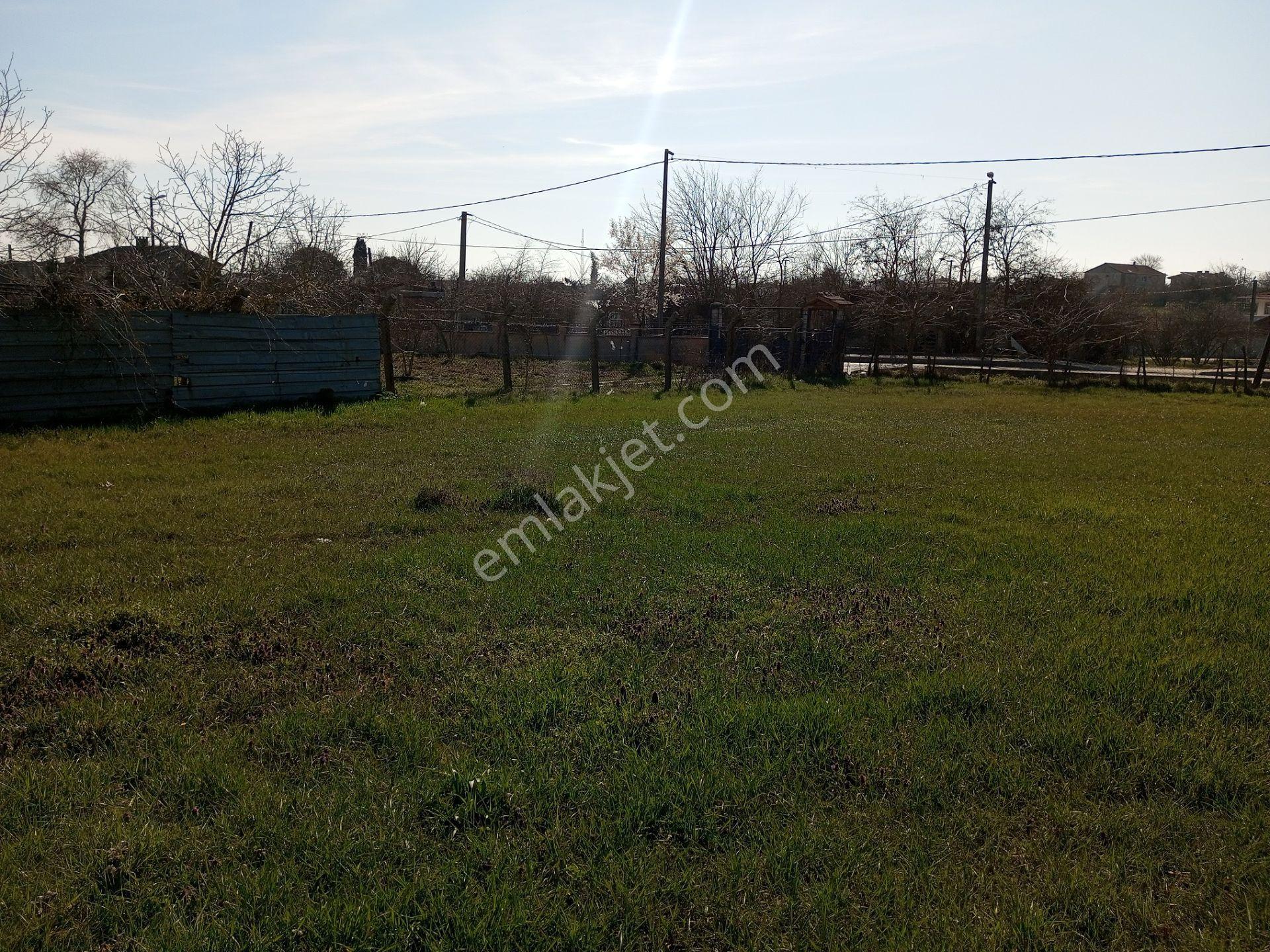 Ege Gayrimenkul'den Beyciler'de 1004 M2 Arsa — fotoğraf 5