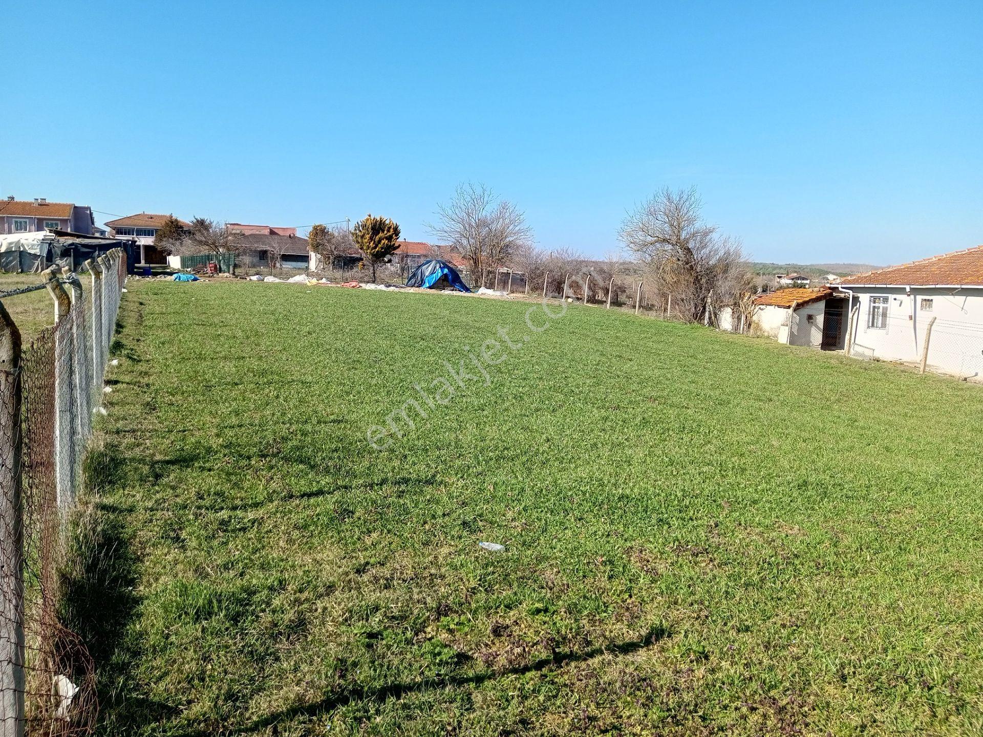 Ege Gayrimenkul'den Beyciler'de 1004 M2 Arsa — fotoğraf 6