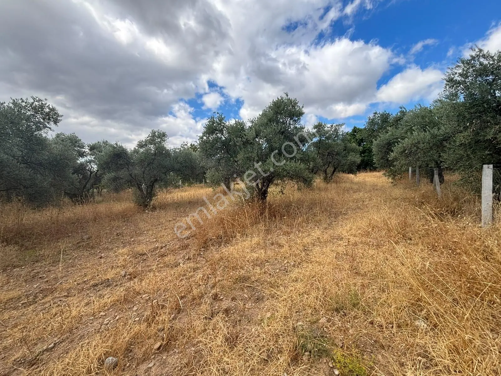 Buca Kırklar 'da 1.170 M² Satılık Tarla — fotoğraf 5