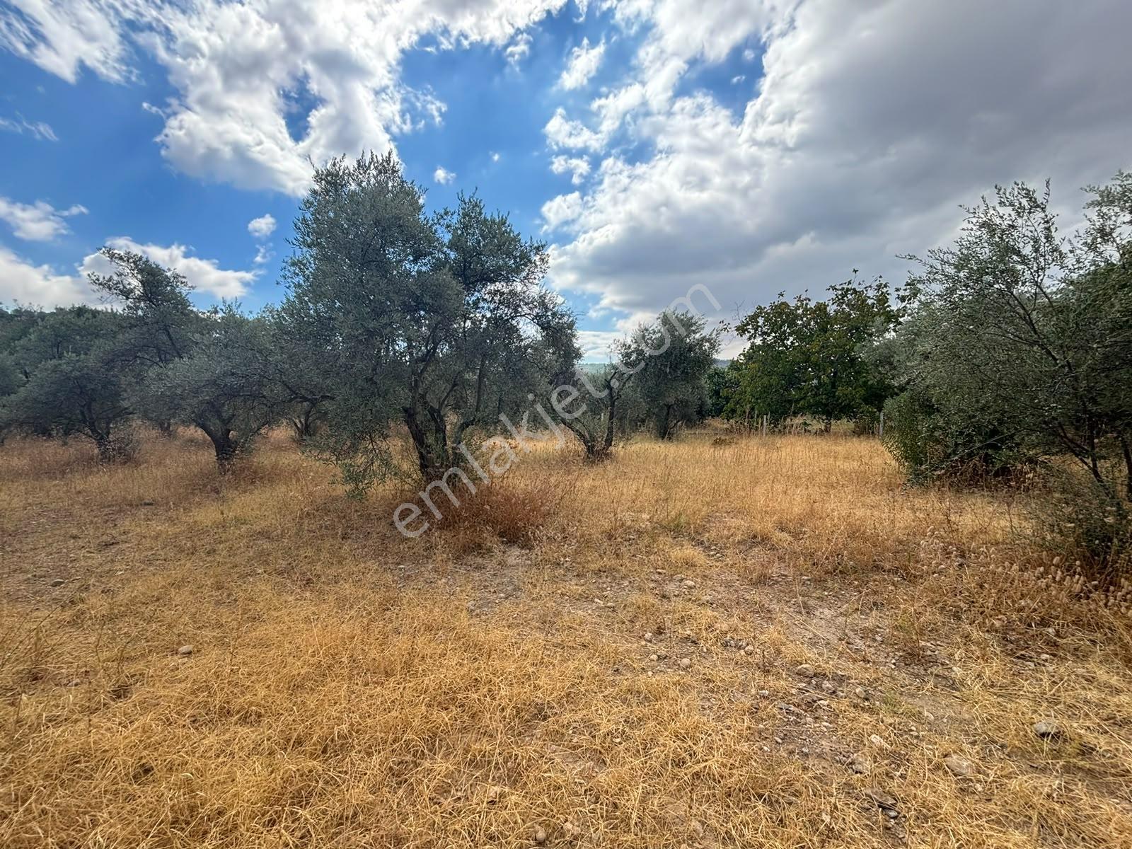 Buca Kırklar 'da 1.170 M² Satılık Tarla — fotoğraf 6