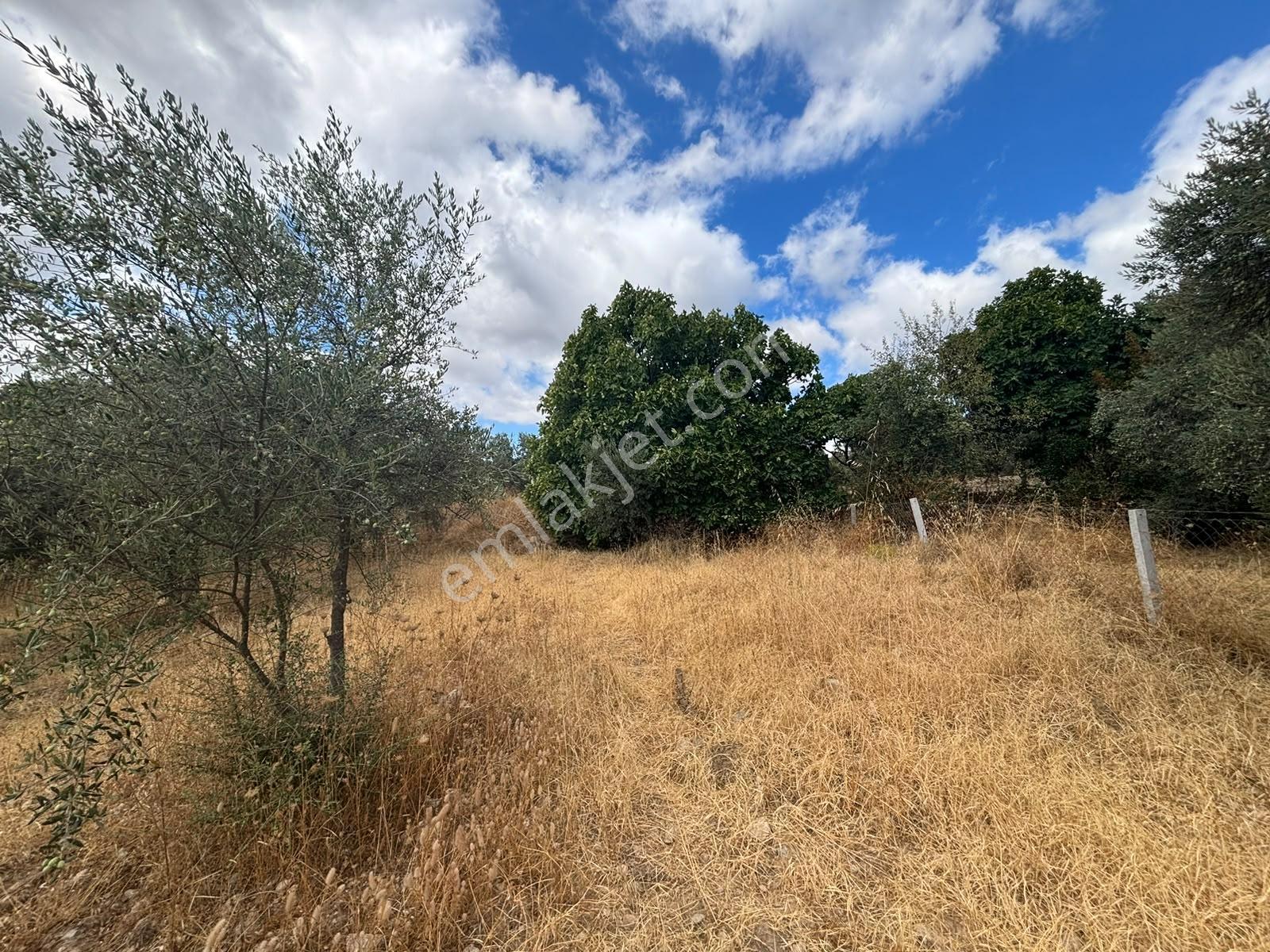 Buca Kırklar 'da 1.170 M² Satılık Tarla — fotoğraf 7