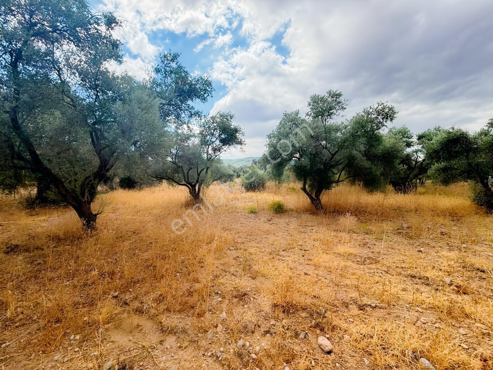 Buca Kırklar 'da 1.170 M² Satılık Tarla — fotoğraf 8