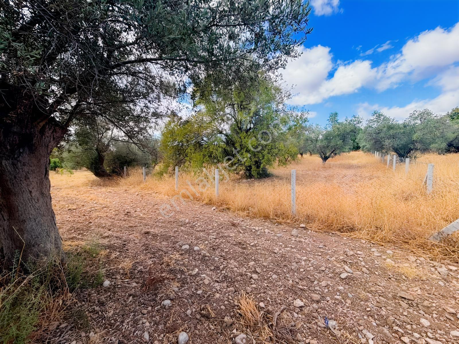 Buca Kırklar 'da 1.170 M² Satılık Tarla — fotoğraf 9