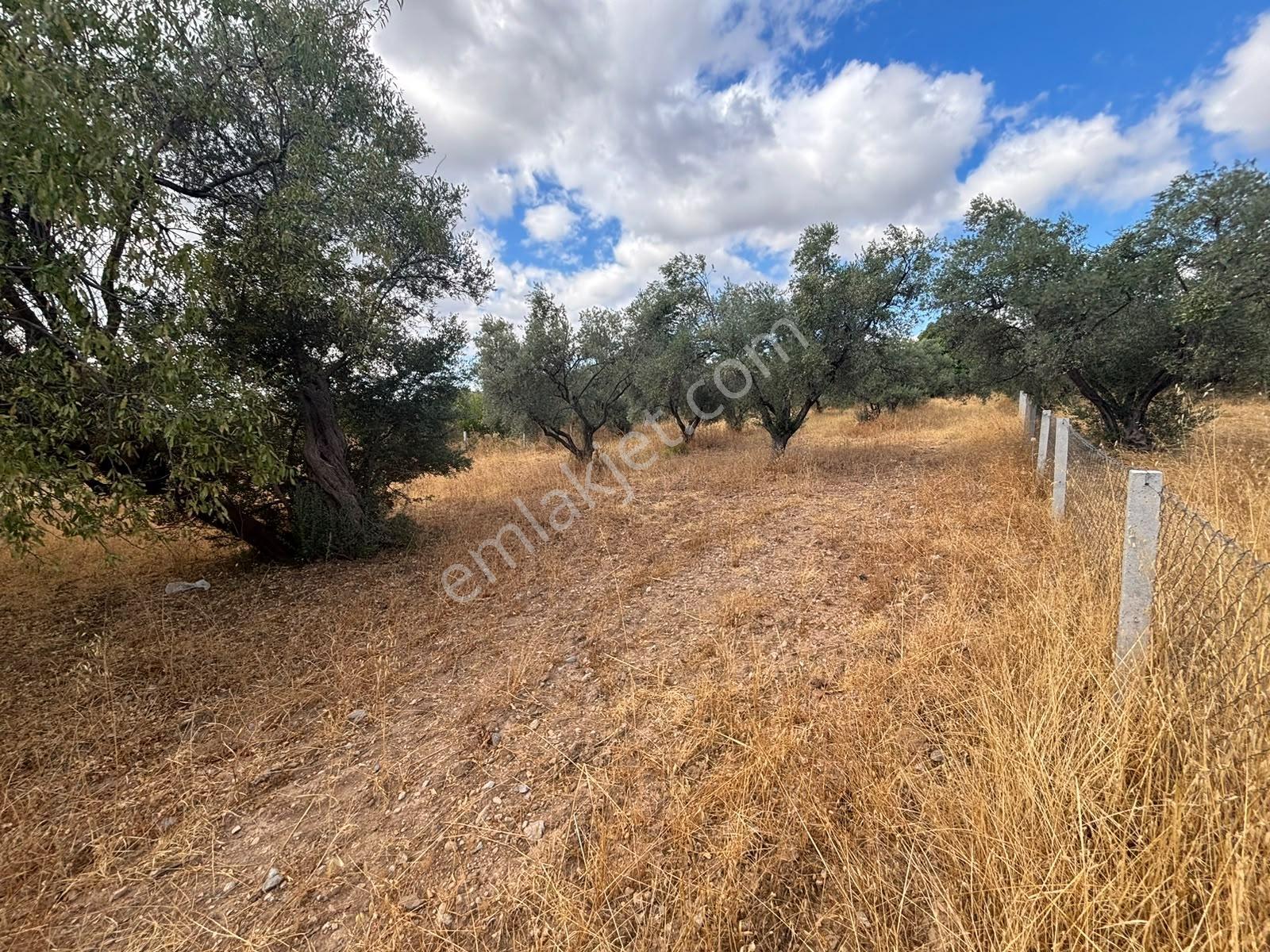 Buca Kırklar 'da 1.170 M² Satılık Tarla — fotoğraf 10