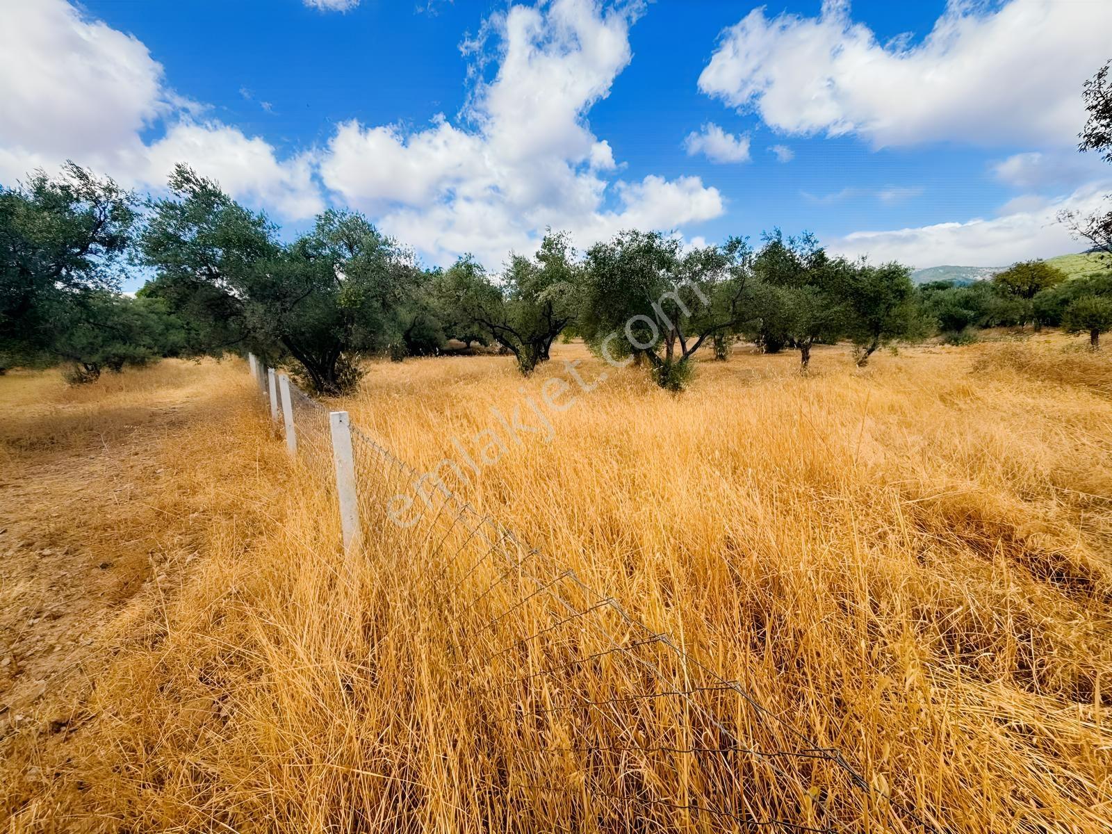 Buca Kırklar 'da 1.170 M² Satılık Tarla — fotoğraf 11