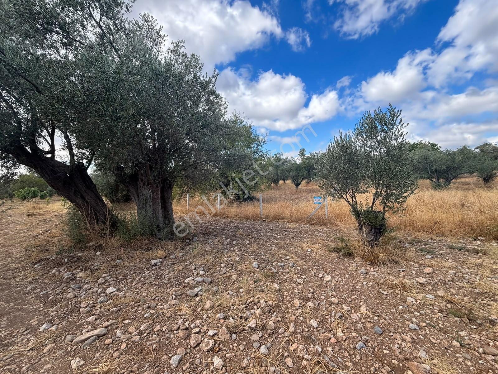 Buca Kırklar 'da 1.170 M² Satılık Tarla — fotoğraf 13