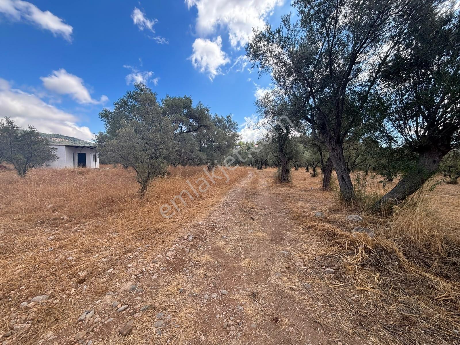 Buca Kırklar 'da 1.170 M² Satılık Tarla — fotoğraf 14