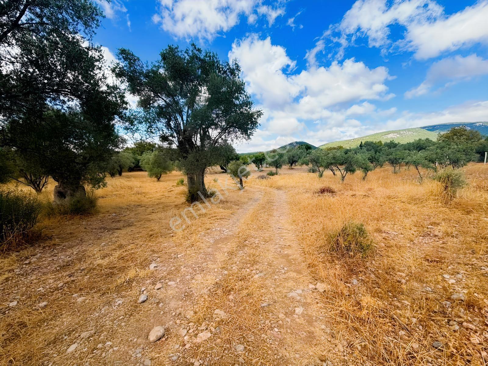 Buca Kırklar 'da 1.170 M² Satılık Tarla — fotoğraf 15