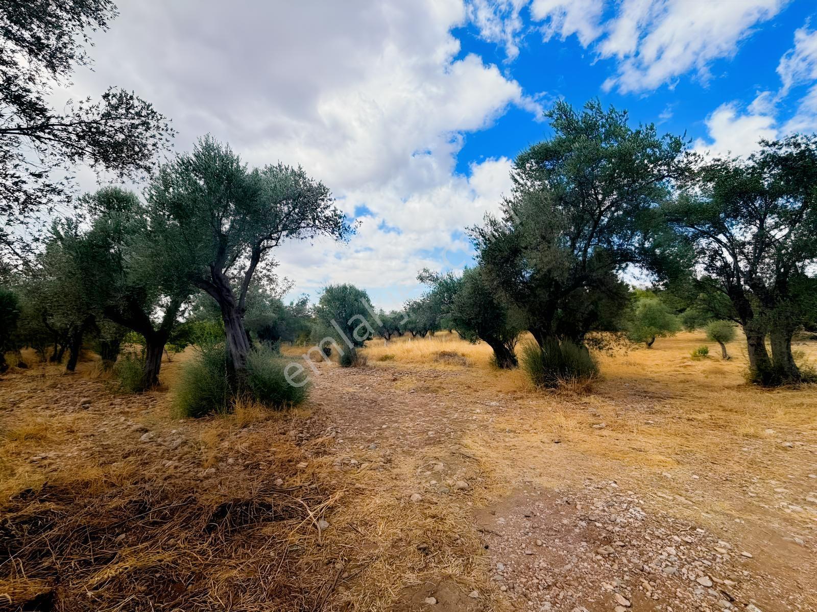 Buca Kırklar 'da 1.170 M² Satılık Tarla — fotoğraf 16