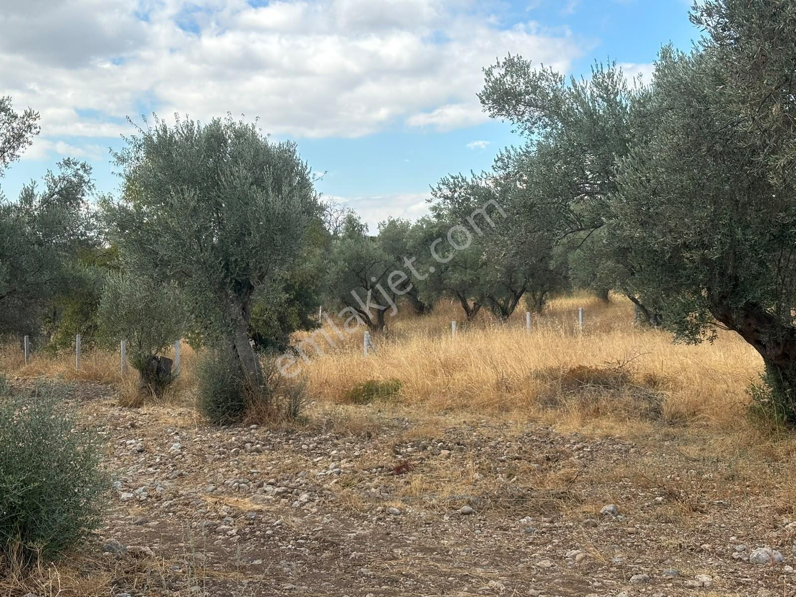 Buca Kırklar 'da 1.170 M² Satılık Tarla — fotoğraf 17