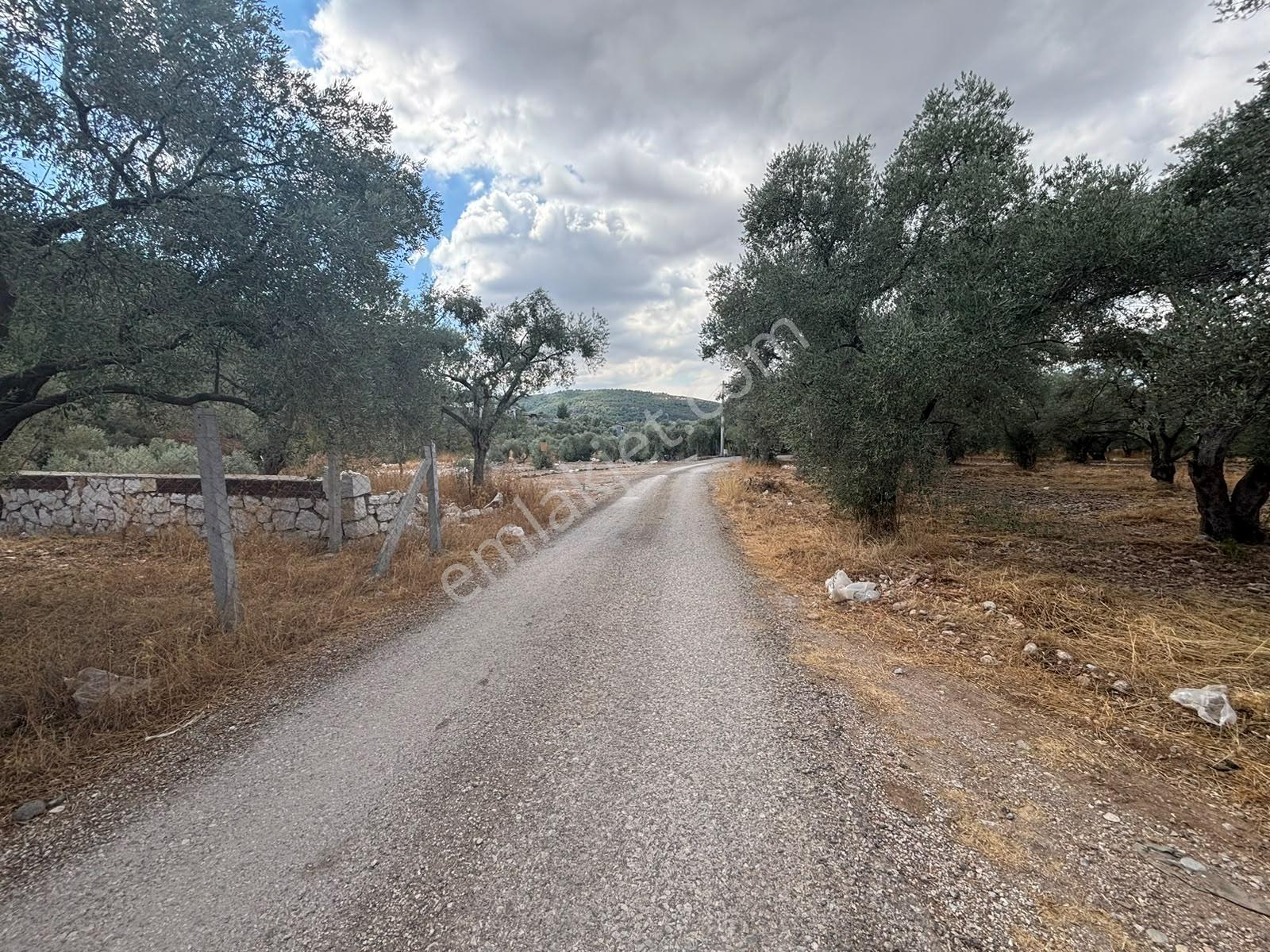 Buca Kırklar 'da 1.170 M² Satılık Tarla — fotoğraf 20