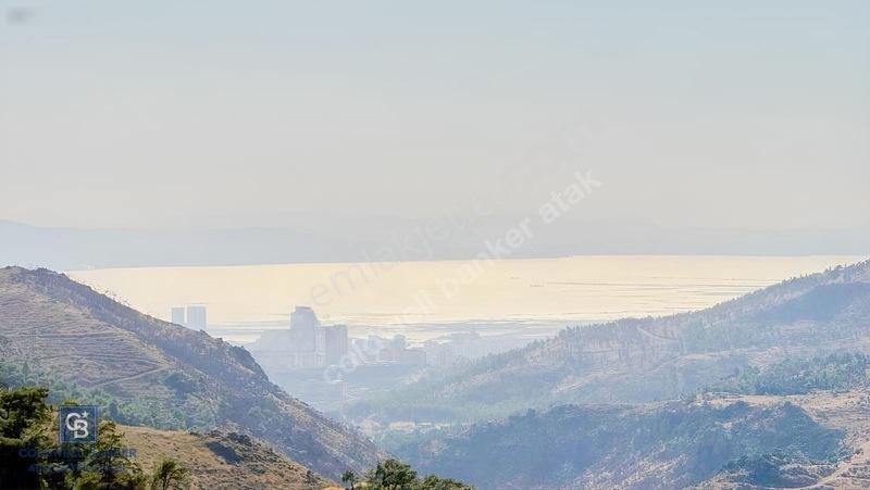 Karşıyaka Yamanlar'Da 3305 M Zeytinlik