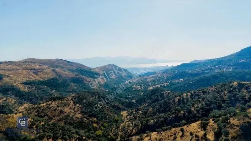 Karşıyaka Yamanlar'da 3305 M Zeytinlik — fotoğraf 3
