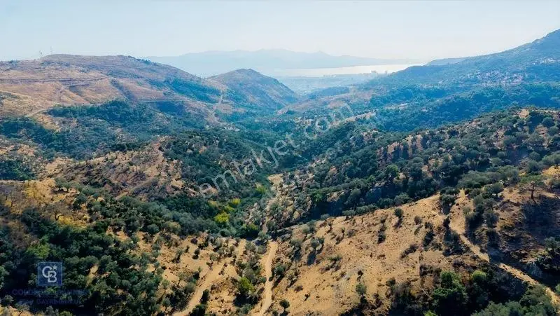 Karşıyaka Yamanlar'da 3305 M Zeytinlik — fotoğraf 4