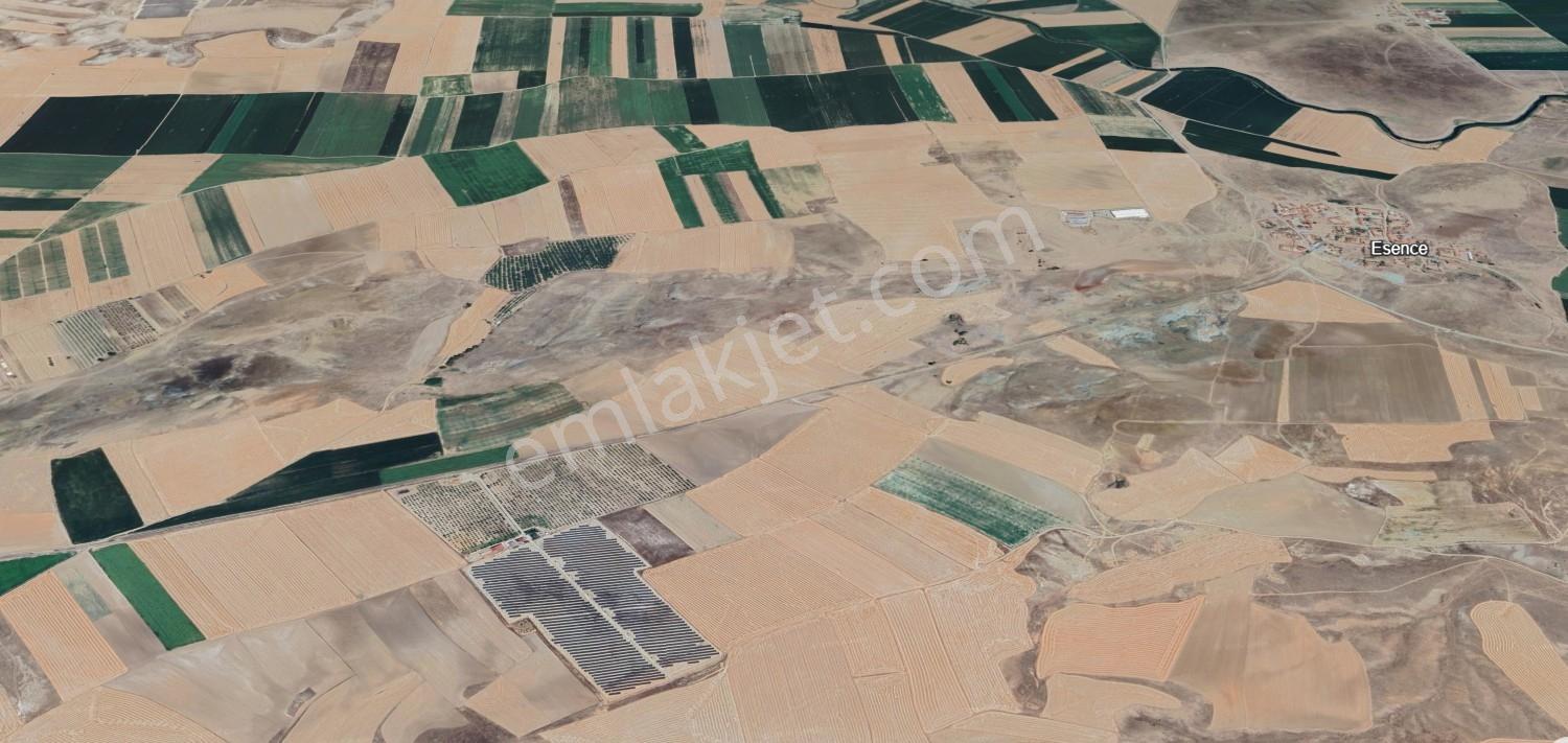 Eskişehir Alpu Esence 50 Metre Asfalt Cepheli 7000 M2 Tarla — fotoğraf 4