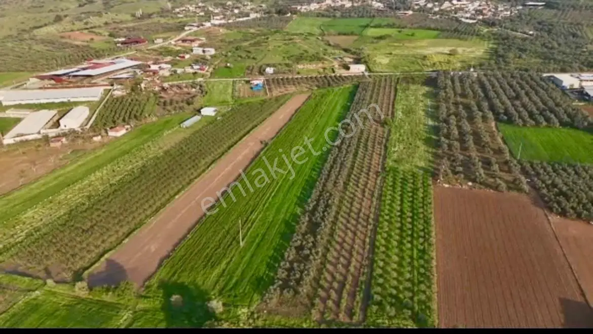 Şahin Gayrimenkul Den Alacalı Köyünde Acil Satılık Yatırımlık Tarla — fotoğraf 2
