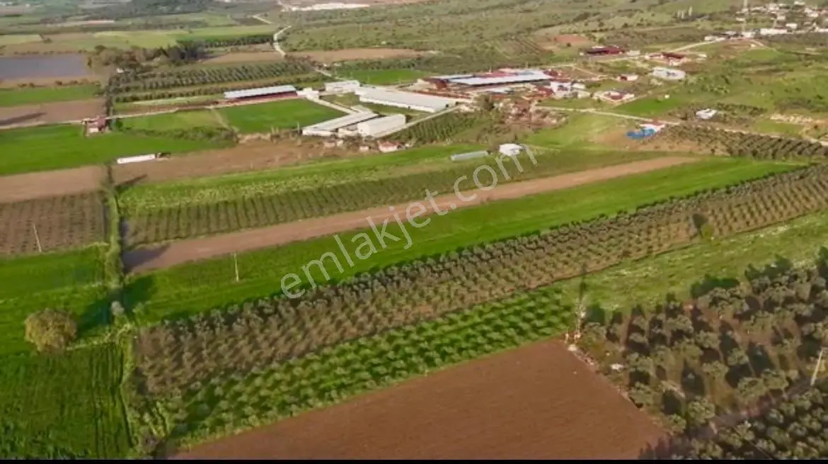 Şahin Gayrimenkul Den Alacalı Köyünde Acil Satılık Yatırımlık Tarla — fotoğraf 3