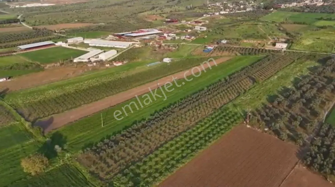 Şahin Gayrimenkul Den Alacalı Köyünde Acil Satılık Yatırımlık Tarla — fotoğraf 4